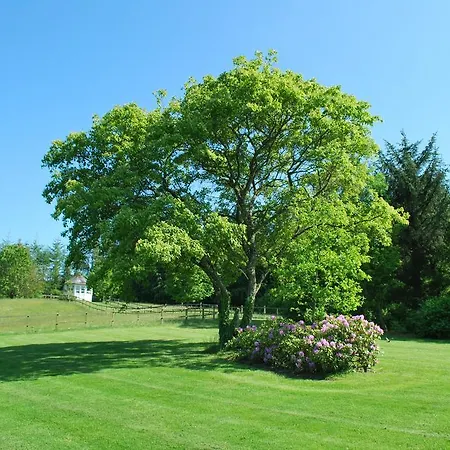 Gatten Bed & Breakfast ベッド・アンド・ブレックファスト